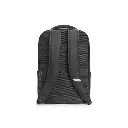 Lizard Tech Panama (41).webp